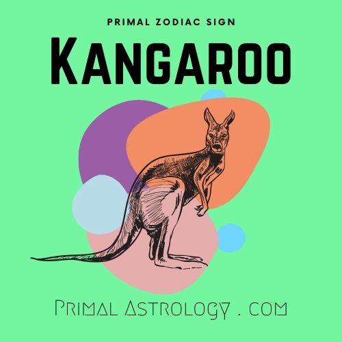 Primal Astrology Spirit Of The Kangaroo